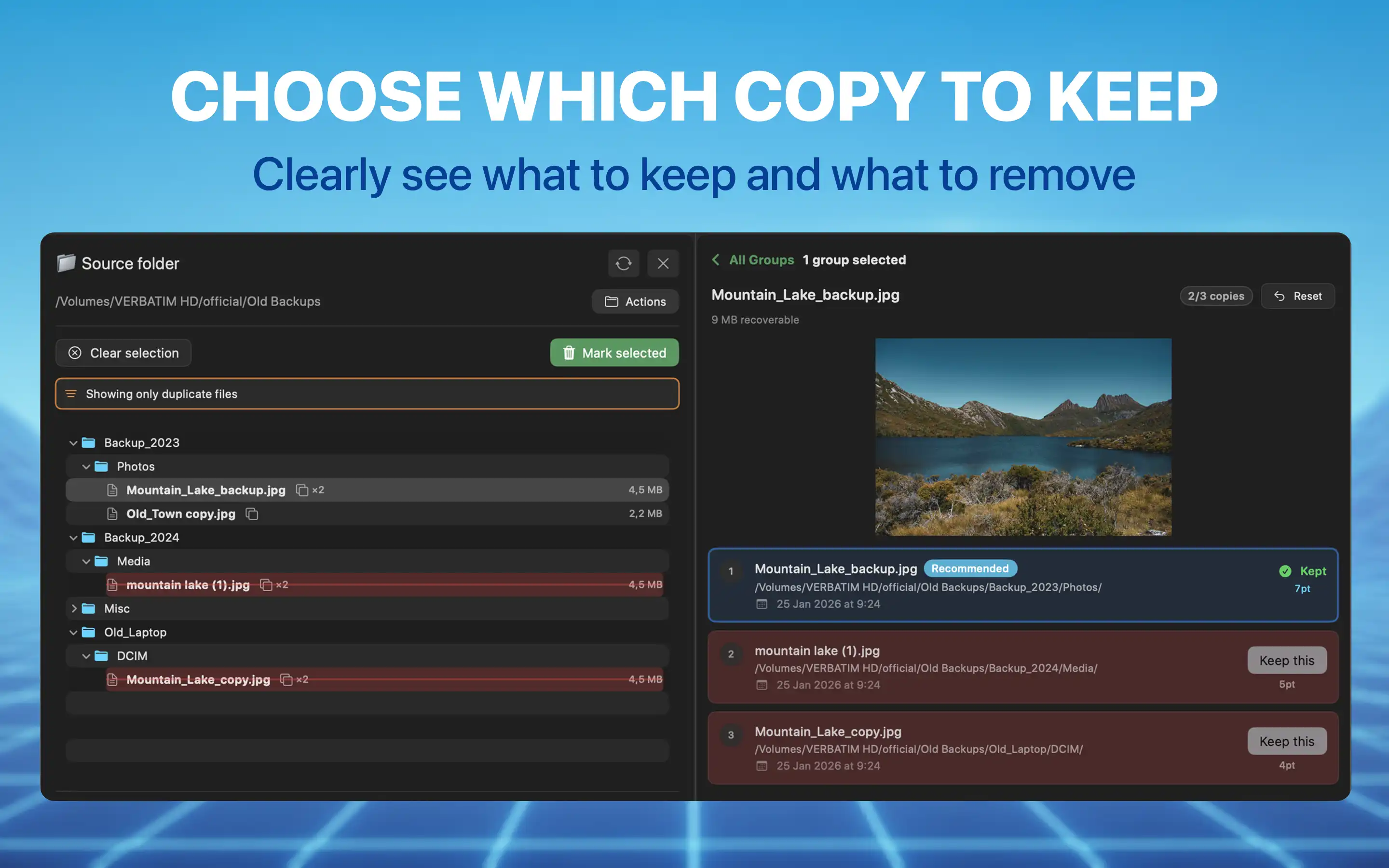 Choose which copy to keep