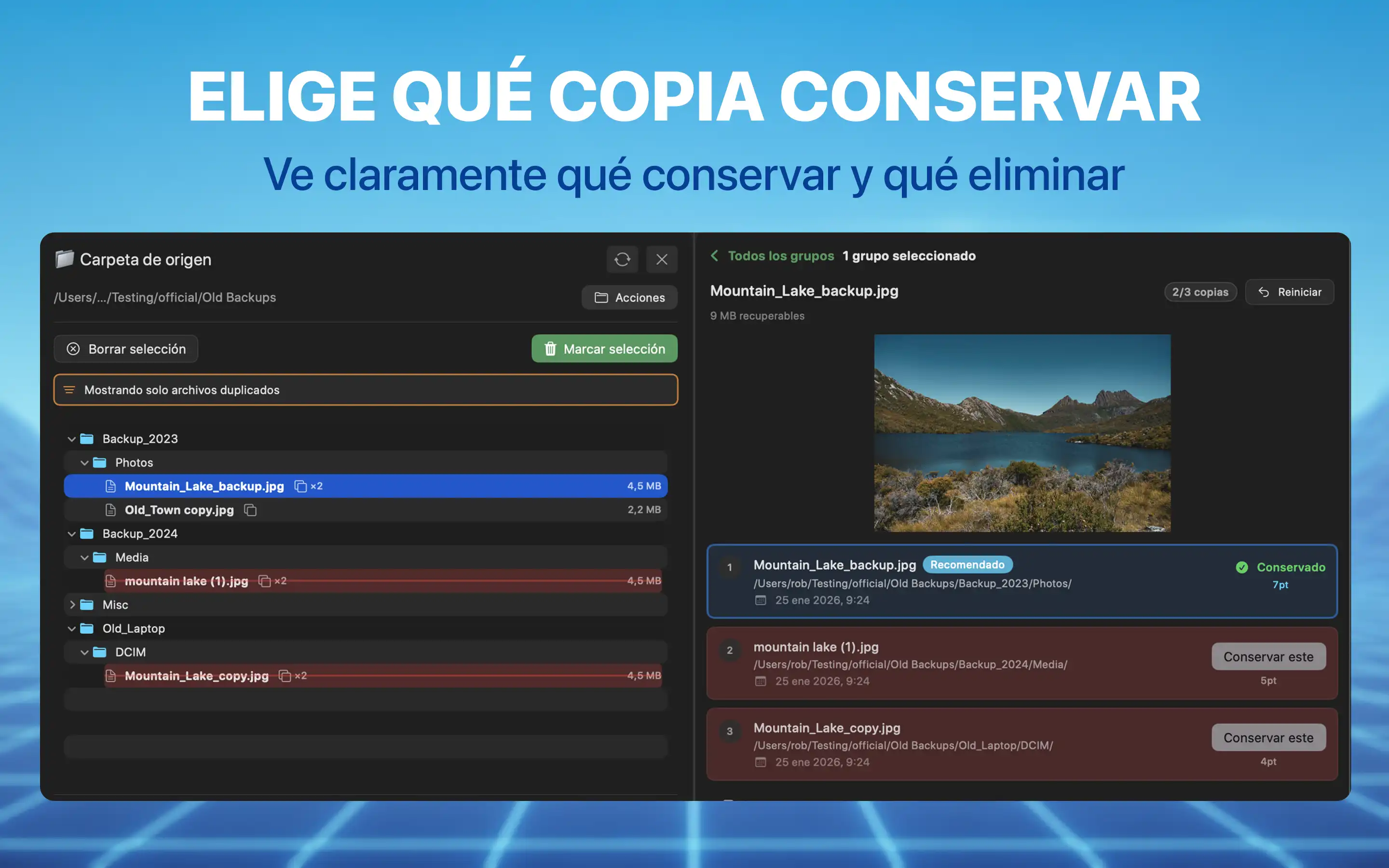 Elige qué copia conservar