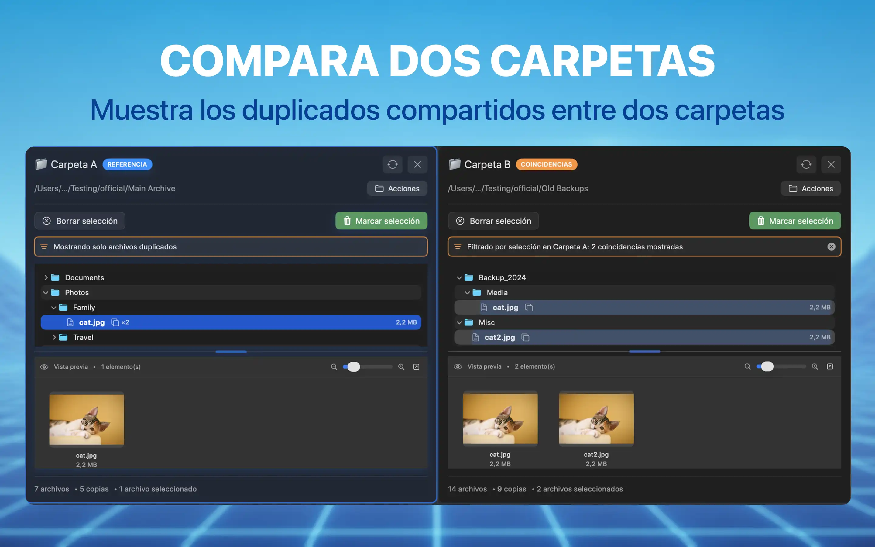 Compara dos carpetas
