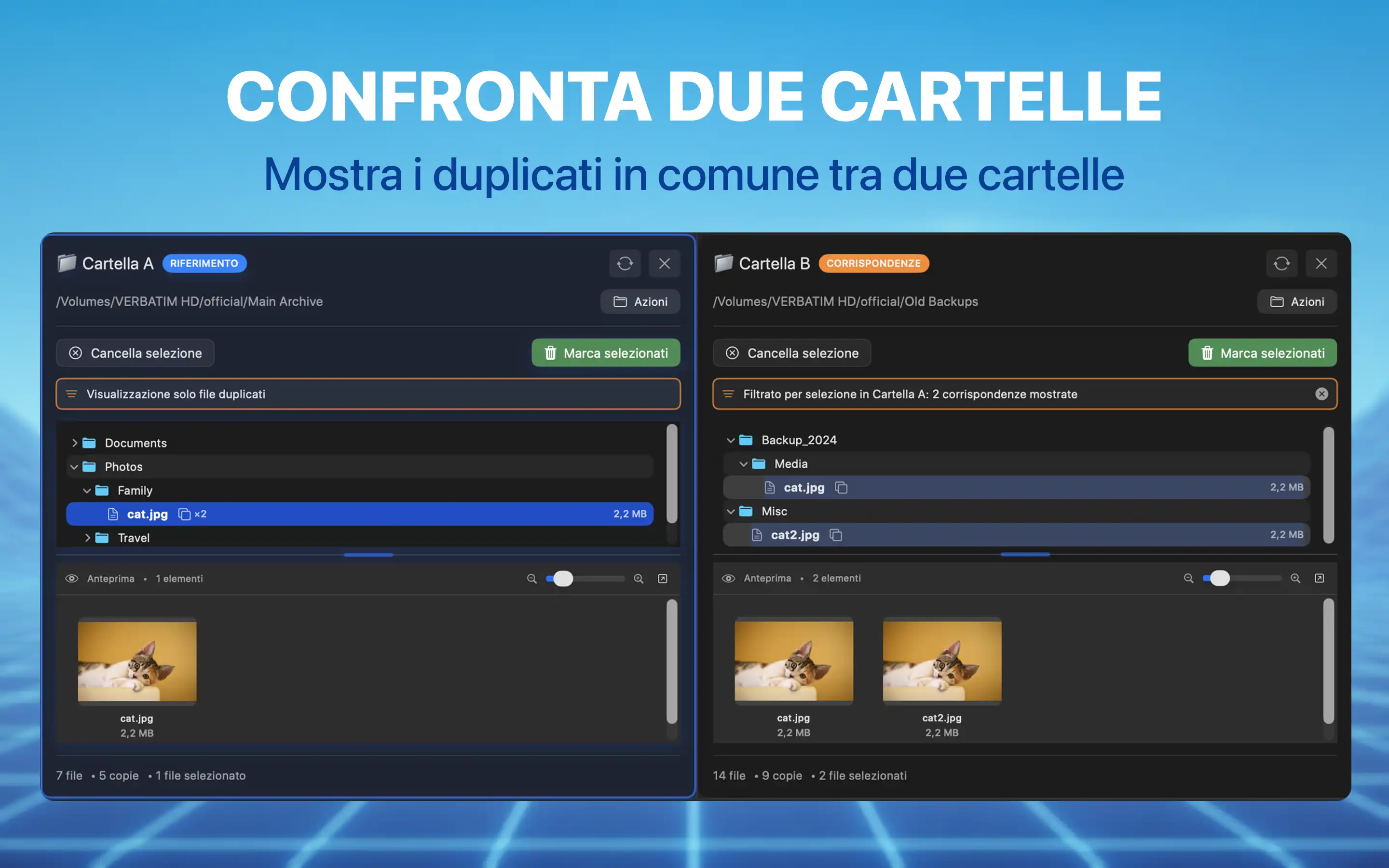 Confronta due cartelle